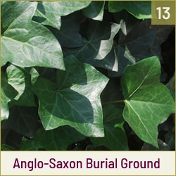 Anglo-Saxon Burial Ground