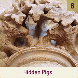 Hidden Pigs