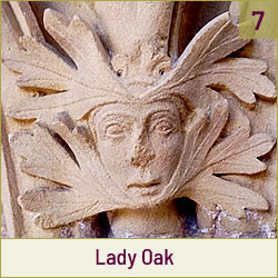 Lady Oak