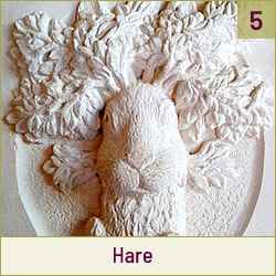 Hare