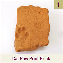 Cat Paw Print Brick